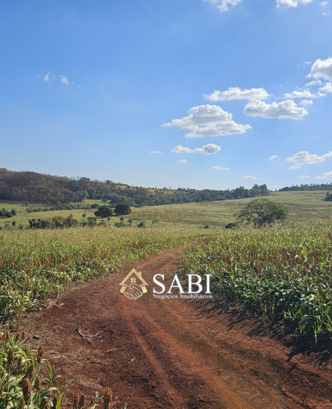Vende-se, Negócios, Fazenda no Rural em Uberaba